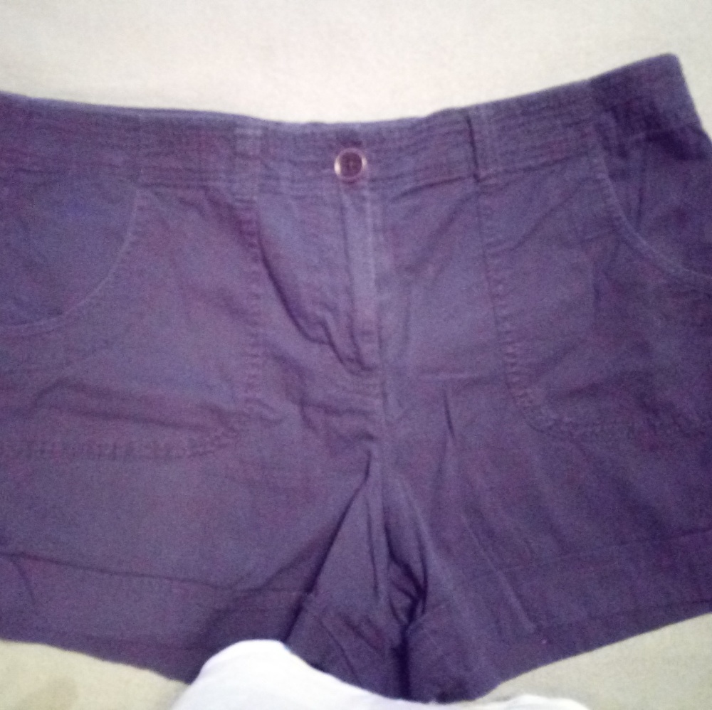 Loft Navy Shorts